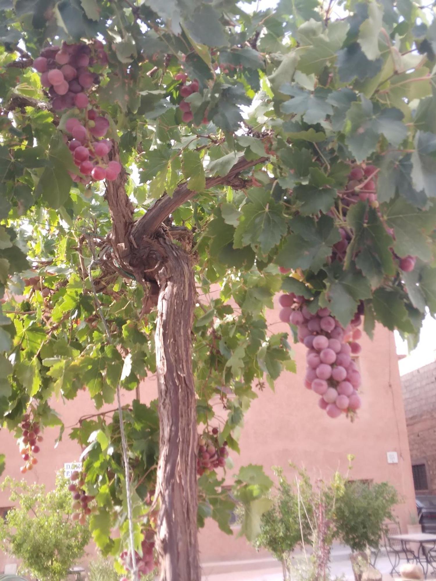 Dar Bilal Hotel Ait Benhaddou Buitenkant foto