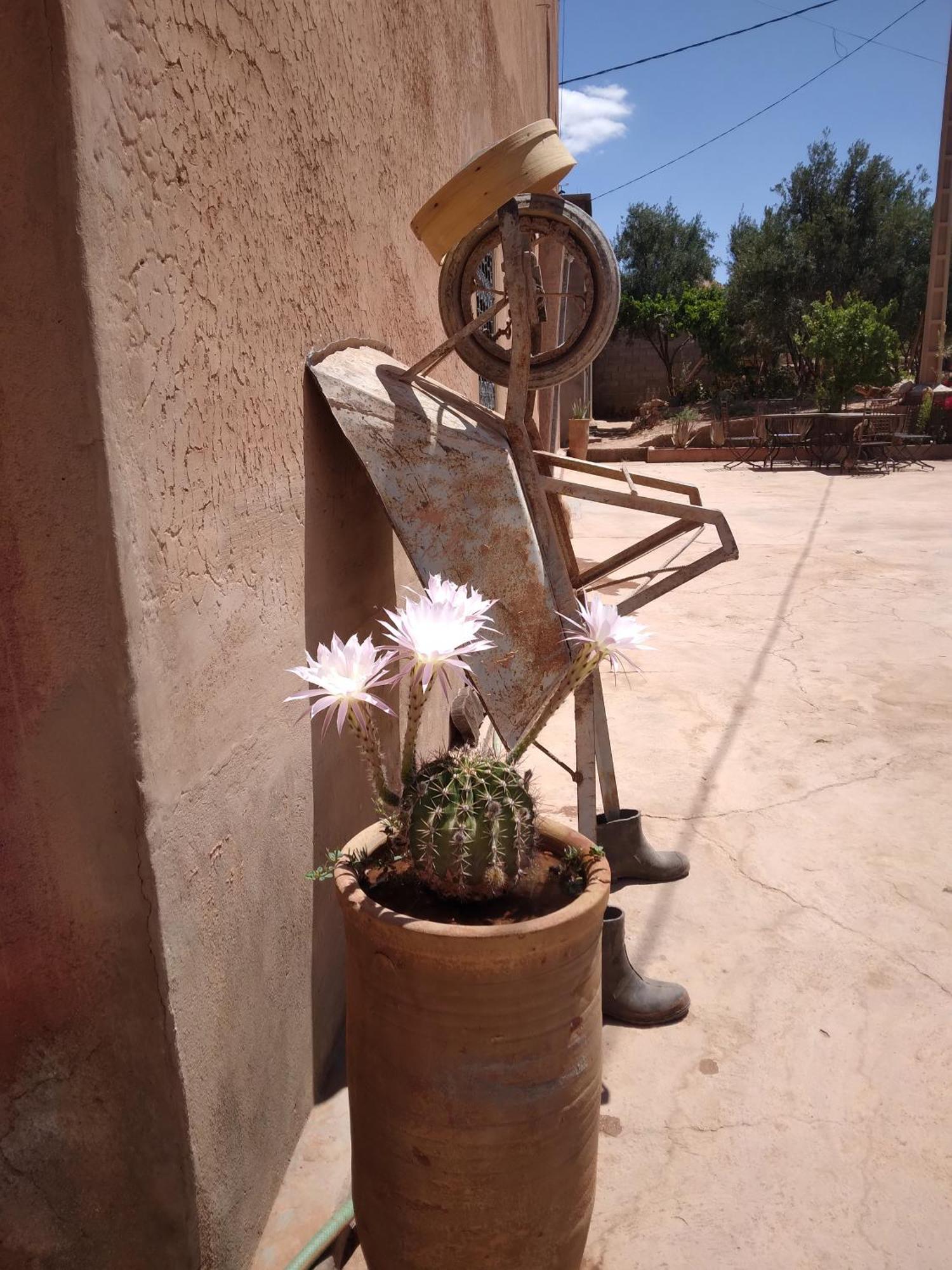 Dar Bilal Hotel Ait Benhaddou Buitenkant foto