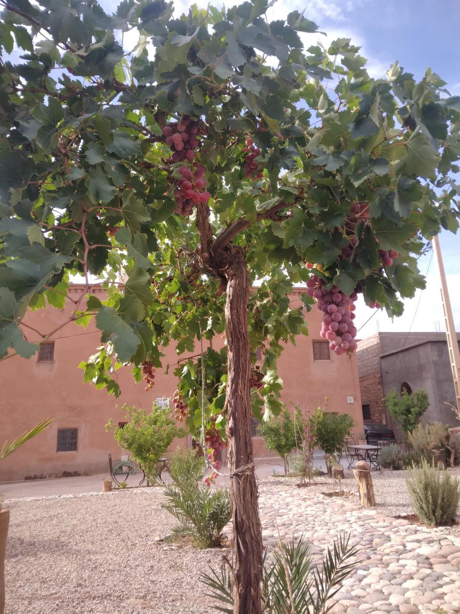 Dar Bilal Hotel Ait Benhaddou Buitenkant foto
